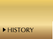 CORPORATE HISTORY